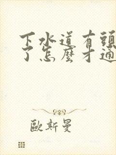 下水道有头发堵了怎么才通