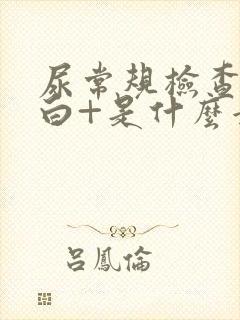 尿常规检查尿蛋白+是什么意思