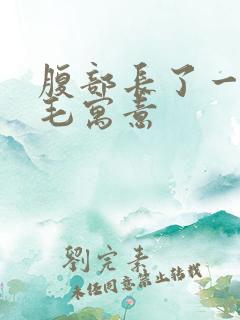 腹部长了一根白毛寓意