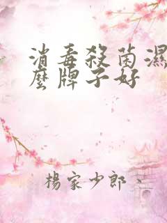 消毒杀菌湿巾什么牌子好