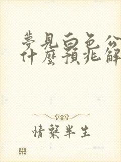 梦见白色公鸡是什么预兆解梦