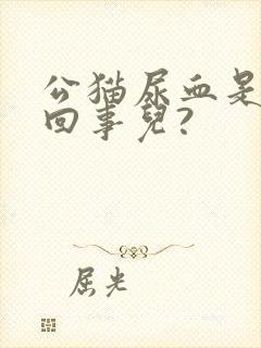 公猫尿血是怎么回事儿?