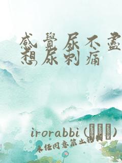 感觉尿不尽一直想尿刺痛