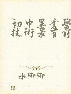 初中毕业学什么技术最有前景