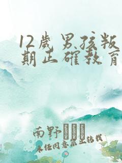 12岁男孩叛逆期正确教育方法