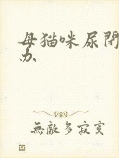 母猫咪尿闭怎么办