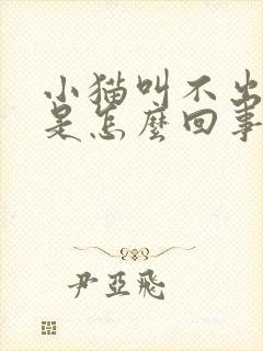 小猫叫不出声音是怎么回事