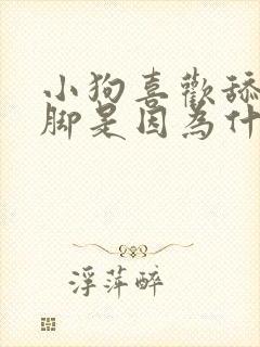 小狗喜欢舔主人脚是因为什么原因