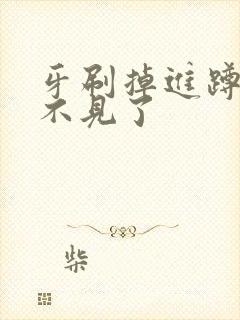 牙刷掉进蹲厕看不见了