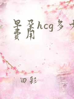 早孕hcg多少费用