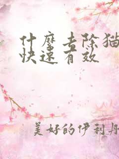 什么去除猫尿味快速有效