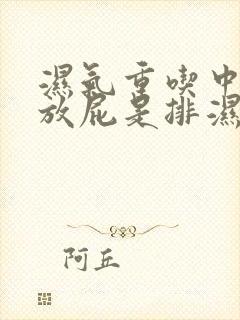 湿气重吃中药老放屁是排湿吗