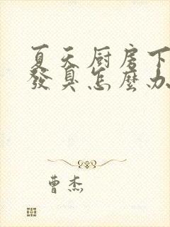 夏天厨房下水道发臭怎么办