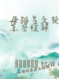 母猫多久发情期怎么缓解