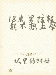 18岁男孩叛逆期不想上学怎么办