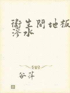 卫生间地板瓷砖渗水