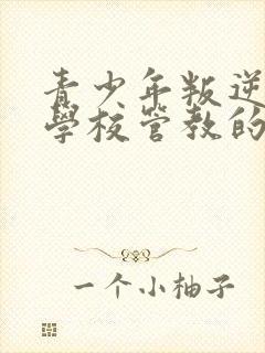 青少年叛逆哪家学校管教的好