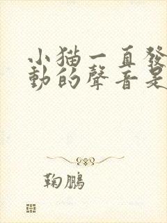 小猫一直发出震动的声音是为什么