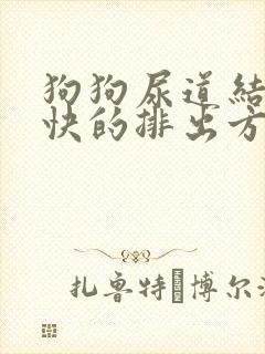 狗狗尿道结石最快的排出方法