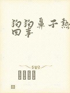 狗狗鼻子热怎么回事