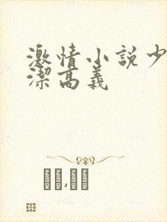 激情小说少妇白洁高义