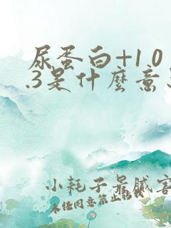 尿蛋白+1 0.3是什么意思