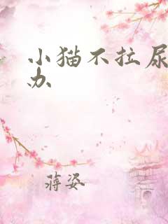 小猫不拉尿怎么办