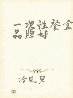 一次性餐盒哪个品牌好