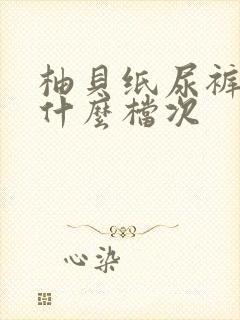 柚贝纸尿裤属于什么档次