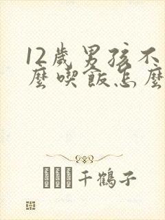 12岁男孩不怎么吃饭怎么办