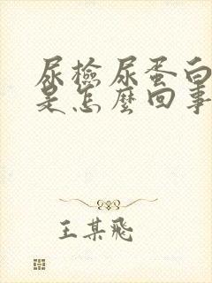 尿检尿蛋白阳性是怎么回事