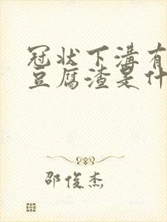 冠状下沟有白色豆腐渣是什么原因