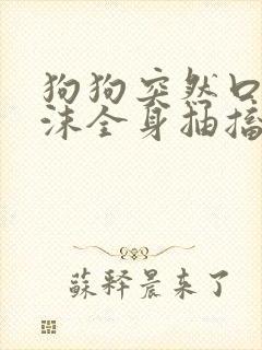 狗狗突然口吐白沫全身抽搐死亡