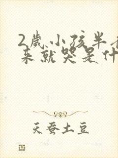 2岁小孩半夜醒来就哭是什么原因