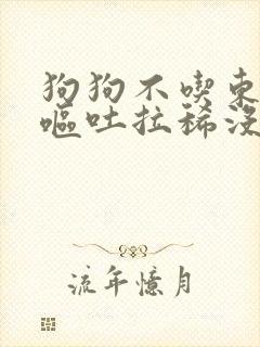 狗狗不吃东西还呕吐拉稀没精神怎么办