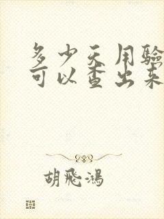 多少天用验孕棒可以查出来