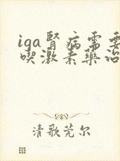 iga肾病需要吃激素药治疗吗?