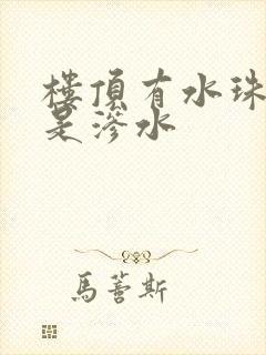 楼顶有水珠是不是渗水