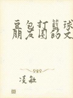 豆包打篮球的发朋友圈的文案