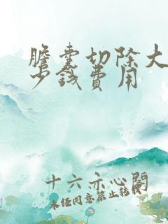 胆囊切除大概多少钱费用