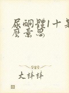 尿酮体1十是什么意思