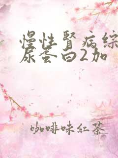 慢性肾病综合征尿蛋白2加