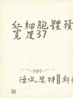 红细胞体积分布宽度37