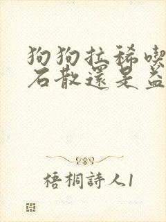 狗狗拉稀吃蒙脱石散还是益生菌