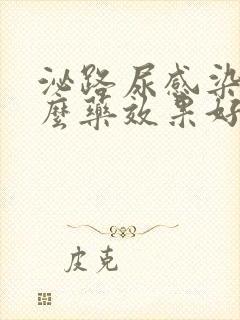 泌路尿感染吃什么药效果好