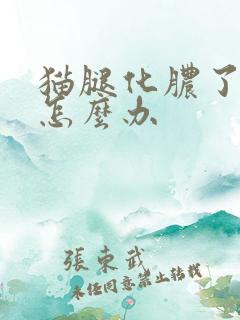 猫腿化脓了在家怎么办