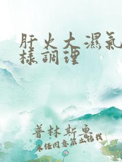 肝火大湿气重怎样调理