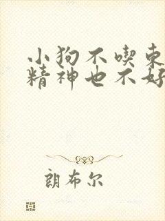 小狗不吃东西,精神也不好,还吐