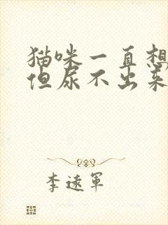 猫咪一直想尿,但尿不出来怎么办