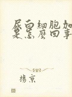 尿白细胞加减号是怎么回事